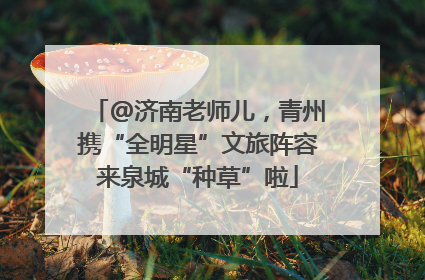 @济南老师儿，青州携“全明星”文旅阵容来泉城“种草”啦